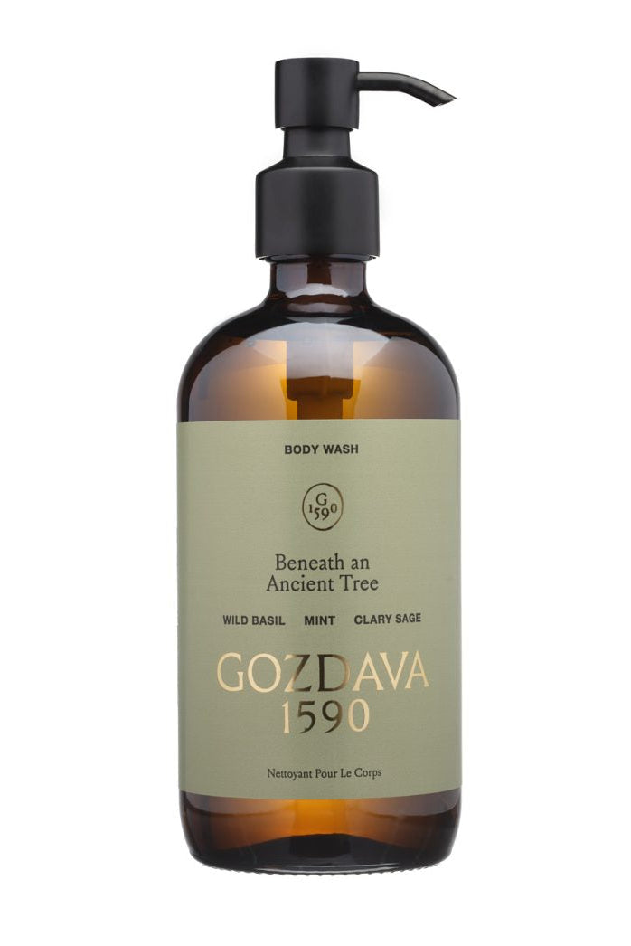 Beneath An Ancient Tree