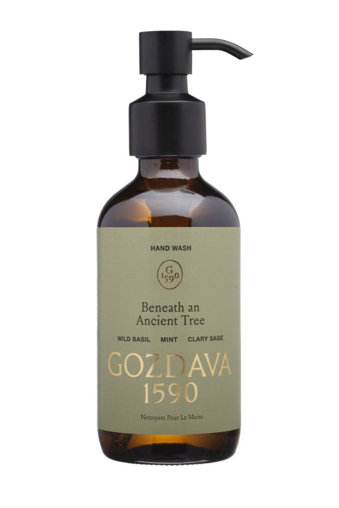 Beneath An Ancient Tree