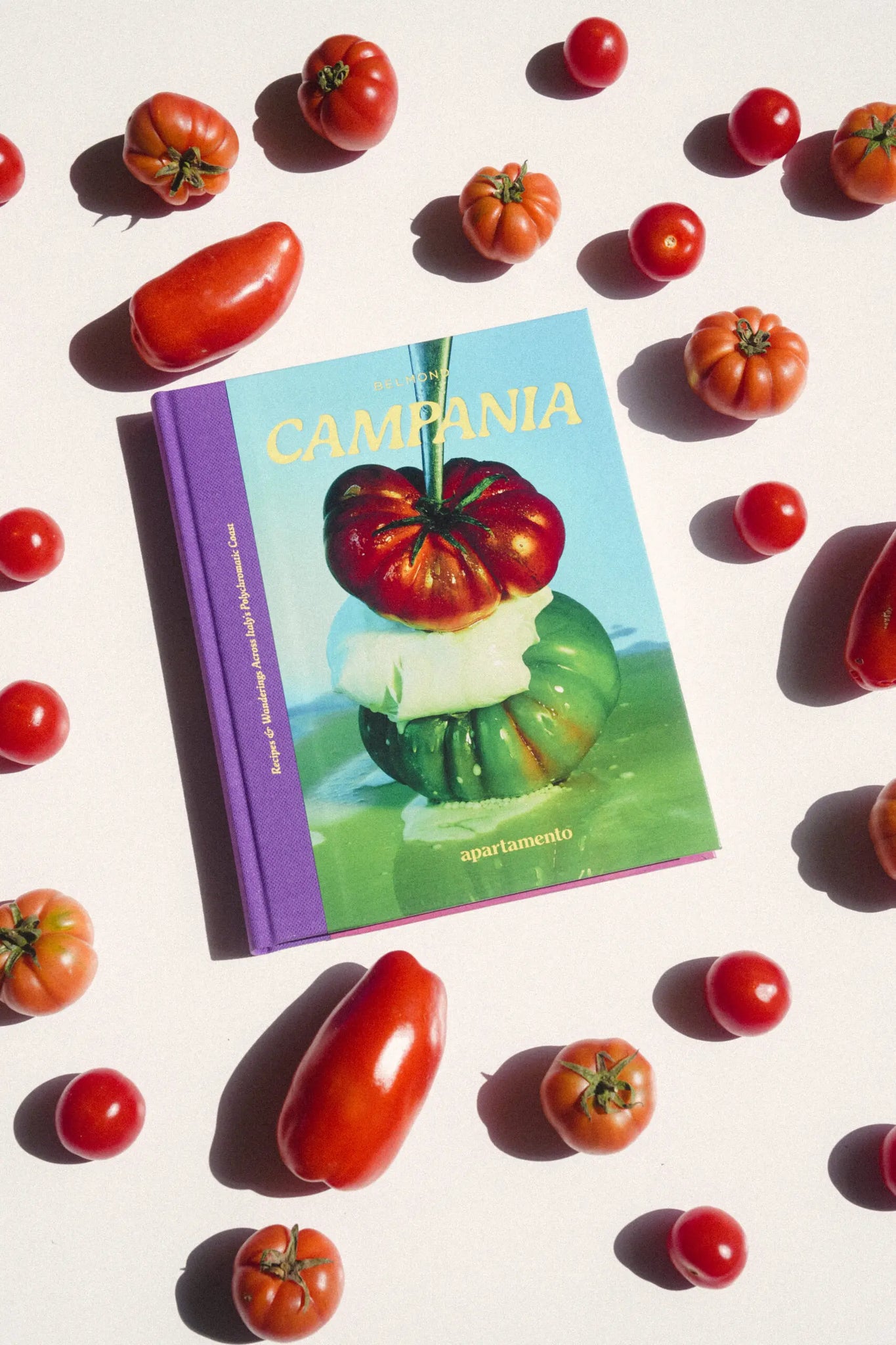 CAMPANIA: Recipies and Wonderings Cook Book