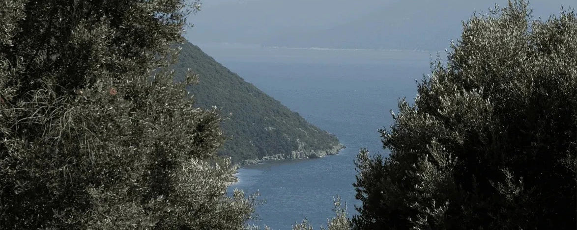 BENEATH AN ANCIENT TREE CANDLE