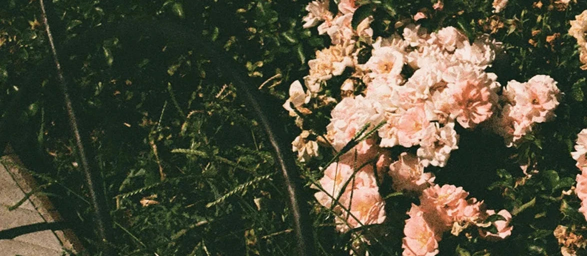 THE BIG BLOOM CANDLE