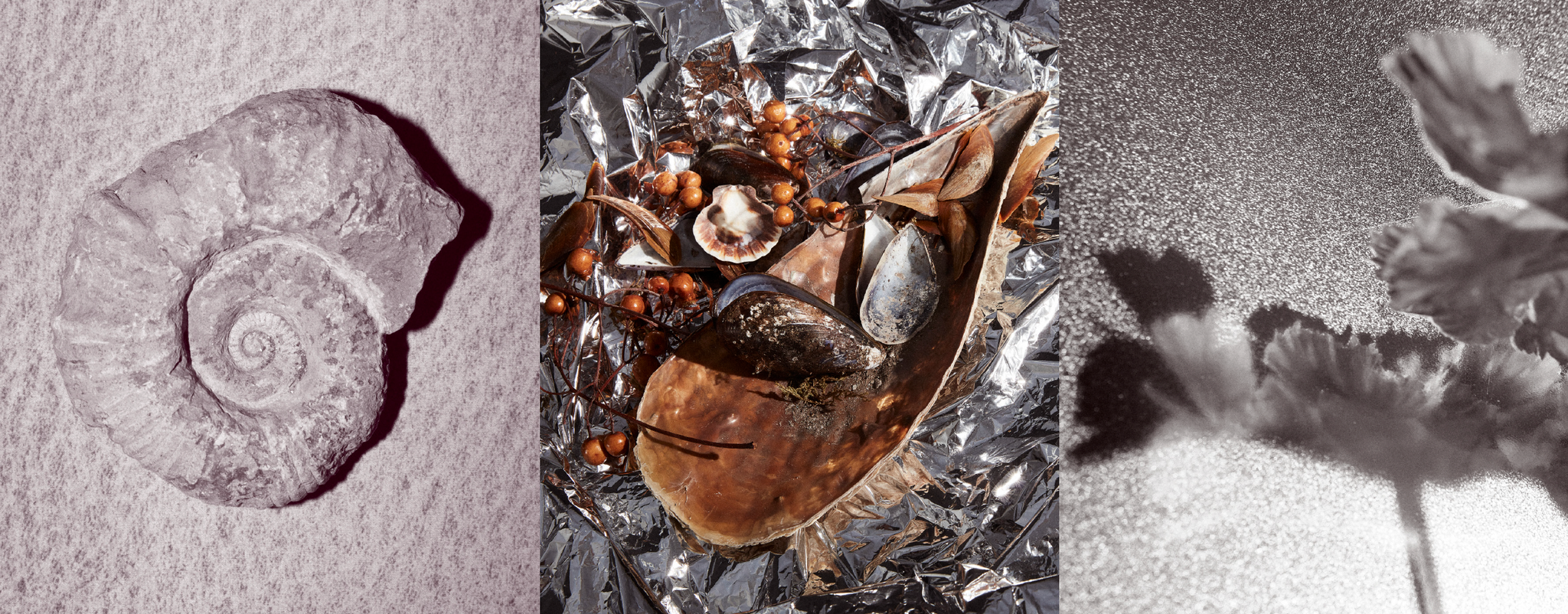 BENEATH AN ANCIENT TREE CANDLE