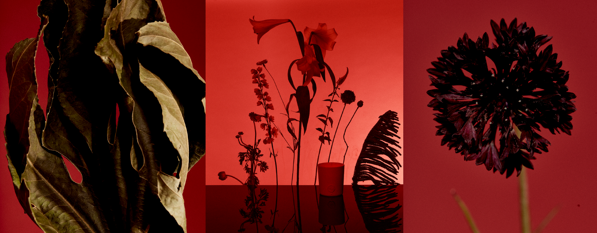 FIRE ON THE MOUNTAIN CANDLE